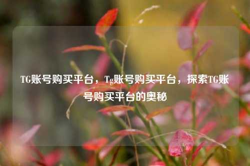 TG账号购买平台，Tg账号购买平台，探索TG账号购买平台的奥秘  第1张