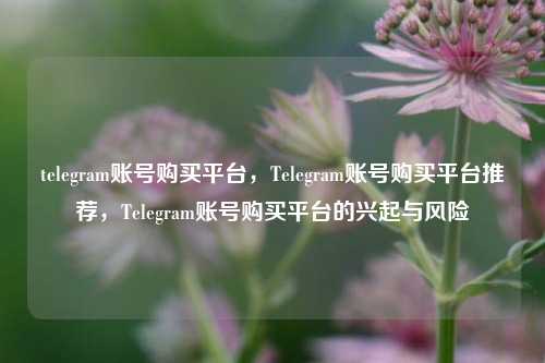 telegram账号购买平台，Telegram账号购买平台推荐，Telegram账号购买平台的兴起与风险