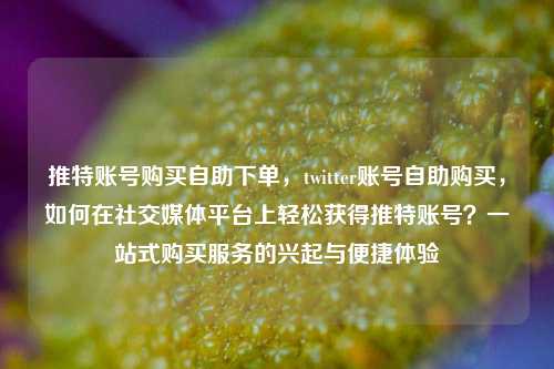 推特账号购买自助下单	，twitter账号自助购买，如何在社交媒体平台上轻松获得推特账号？一站式购买服务的兴起与便捷体验  第1张