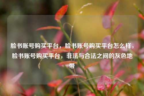 脸书账号购买平台，脸书账号购买平台怎么样，脸书账号购买平台	，非法与合法之间的灰色地带  第1张