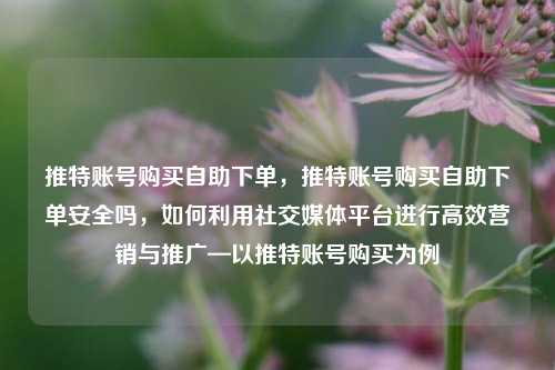 推特账号购买自助下单，推特账号购买自助下单安全吗，如何利用社交媒体平台进行高效营销与推广—以推特账号购买为例
