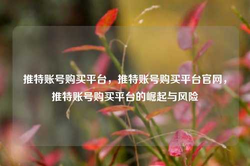 推特账号购买平台，推特账号购买平台官网，推特账号购买平台的崛起与风险
