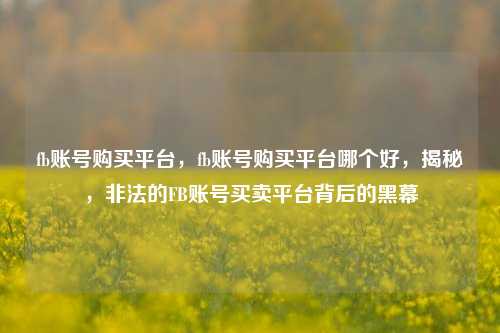 fb账号购买平台，fb账号购买平台哪个好，揭秘，非法的FB账号买卖平台背后的黑幕