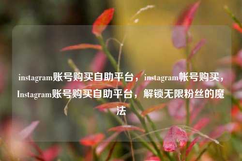 instagram账号购买自助平台，instagram帐号购买，Instagram账号购买自助平台	，解锁无限粉丝的魔法  第1张
