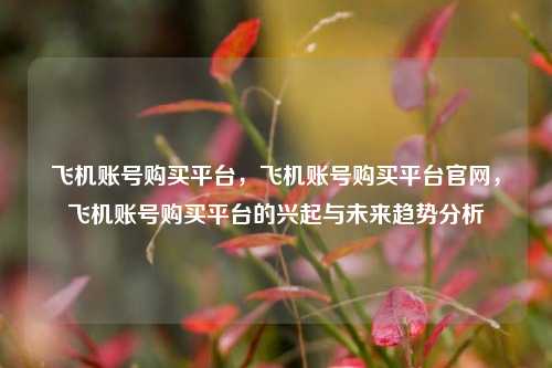 飞机账号购买平台，飞机账号购买平台官网，飞机账号购买平台的兴起与未来趋势分析