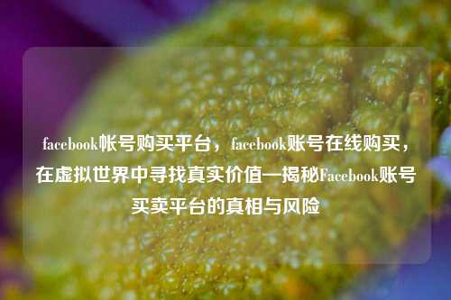 facebook帐号购买平台，facebook账号在线购买，在虚拟世界中寻找真实价值—揭秘Facebook账号买卖平台的真相与风险