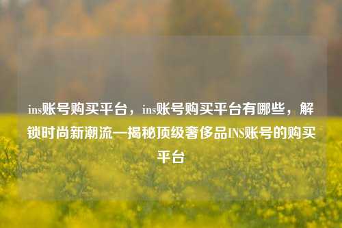 ins账号购买平台，ins账号购买平台有哪些，解锁时尚新潮流—揭秘顶级奢侈品INS账号的购买平台