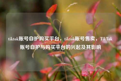 tiktok账号自护购买平台，tiktok账号售卖	，TikTok账号自护与购买平台的兴起及其影响  第1张