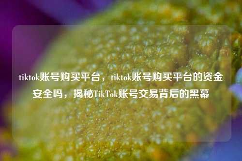 tiktok账号购买平台，tiktok账号购买平台的资金安全吗，揭秘TikTok账号交易背后的黑幕