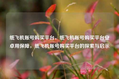 纸飞机账号购买平台，纸飞机账号购买平台安卓用保障，纸飞机账号购买平台的探索与启示