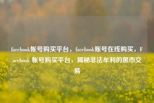 facebook帐号购买平台，facebook账号在线购买，Facebook 帐号购买平台	，揭秘非法牟利的黑市交易  第1张
