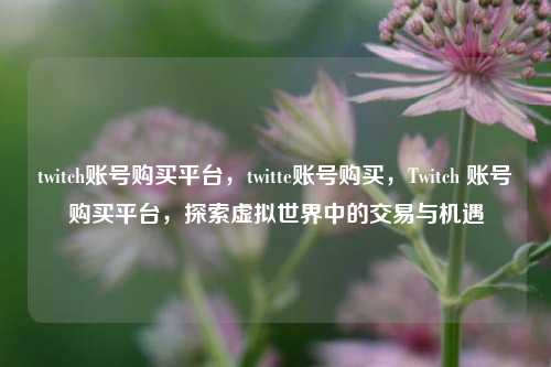 twitch账号购买平台，twitte账号购买	，Twitch 账号购买平台，探索虚拟世界中的交易与机遇  第1张