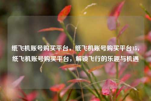 纸飞机账号购买平台，纸飞机账号购买平台15，纸飞机账号购买平台，解锁飞行的乐趣与机遇