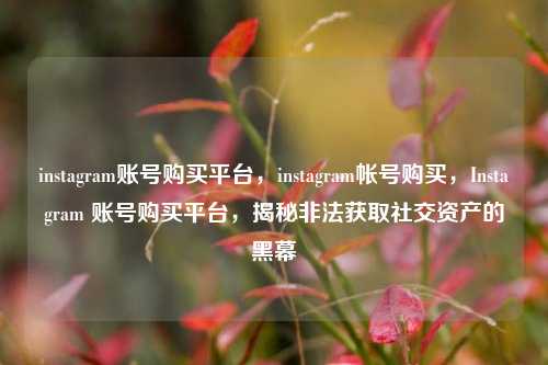 instagram账号购买平台，instagram帐号购买，Instagram 账号购买平台，揭秘非法获取社交资产的黑幕