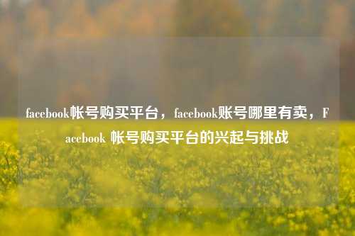 facebook帐号购买平台	，facebook账号哪里有卖，Facebook 帐号购买平台的兴起与挑战  第1张