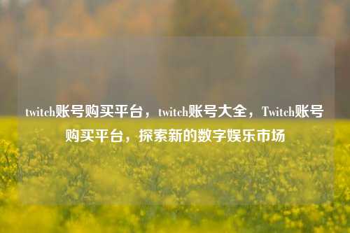 twitch账号购买平台	，twitch账号大全，Twitch账号购买平台，探索新的数字娱乐市场  第1张