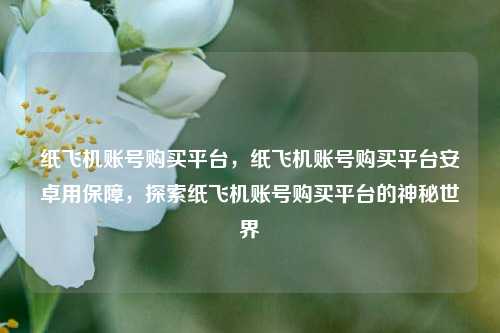纸飞机账号购买平台，纸飞机账号购买平台安卓用保障，探索纸飞机账号购买平台的神秘世界