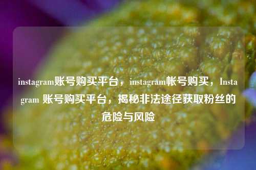 instagram账号购买平台，instagram帐号购买，Instagram 账号购买平台，揭秘非法途径获取粉丝的危险与风险