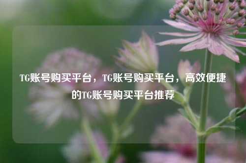 TG账号购买平台	，TG账号购买平台，高效便捷的TG账号购买平台推荐  第1张