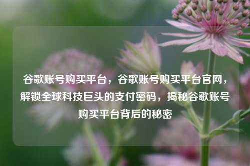 谷歌账号购买平台，谷歌账号购买平台官网	，解锁全球科技巨头的支付密码，揭秘谷歌账号购买平台背后的秘密  第1张
