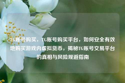 TG账号购买，TG账号购买平台，如何安全有效地购买游戏内虚拟货币	，揭秘TG账号交易平台的真相与风险规避指南  第1张
