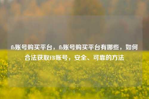 fb账号购买平台，fb账号购买平台有哪些，如何合法获取FB账号，安全、可靠的方法