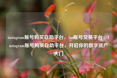 instagram账号购买自助平台	，ins账号交易平台，Instagram账号购买自助平台，开启你的数字资产大门  第1张