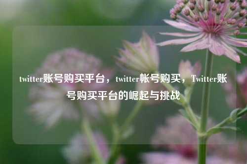 twitter账号购买平台	，twitter帐号购买，Twitter账号购买平台的崛起与挑战  第1张
