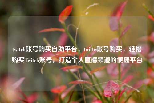 twitch账号购买自助平台，twitte账号购买，轻松购买Twitch账号	，打造个人直播频道的便捷平台  第1张