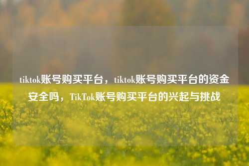 tiktok账号购买平台，tiktok账号购买平台的资金安全吗，TikTok账号购买平台的兴起与挑战  第1张