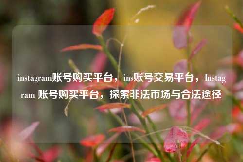 instagram账号购买平台，ins账号交易平台，Instagram 账号购买平台，探索非法市场与合法途径