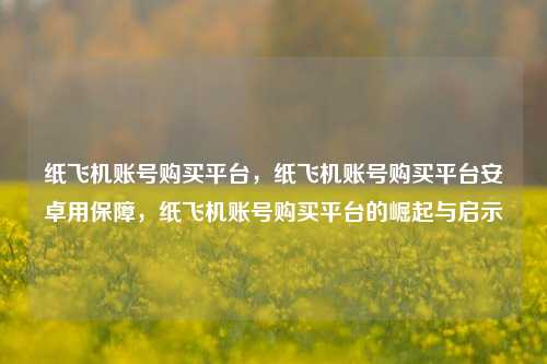 纸飞机账号购买平台，纸飞机账号购买平台安卓用保障，纸飞机账号购买平台的崛起与启示  第1张