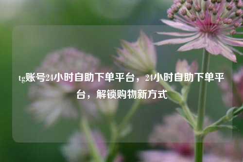 tg账号24小时自助下单平台，24小时自助下单平台，解锁购物新方式