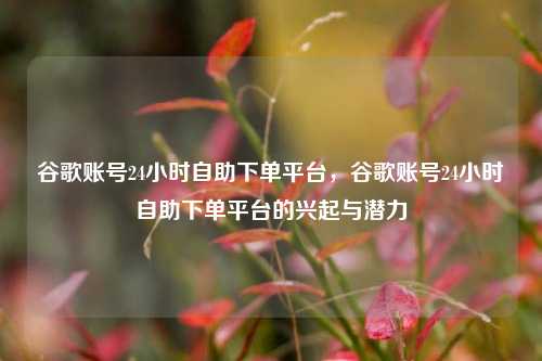 谷歌账号24小时自助下单平台，谷歌账号24小时自助下单平台的兴起与潜力  第1张