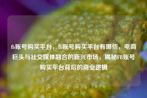 fb账号购买平台，fb账号购买平台有哪些，电商巨头与社交媒体融合的新兴市场，揭秘FB账号购买平台背后的商业逻辑