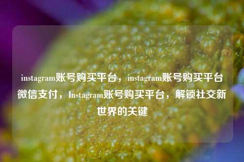 instagram账号购买平台，instagram账号购买平台微信支付，Instagram账号购买平台，解锁社交新世界的关键