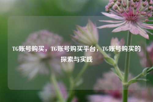 TG账号购买，TG账号购买平台	，TG账号购买的探索与实践  第1张