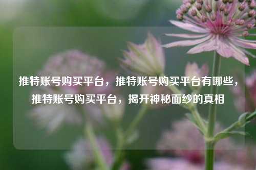推特账号购买平台，推特账号购买平台有哪些	，推特账号购买平台，揭开神秘面纱的真相  第1张