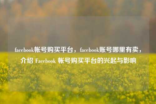 facebook帐号购买平台，facebook账号哪里有卖，介绍 Facebook 帐号购买平台的兴起与影响