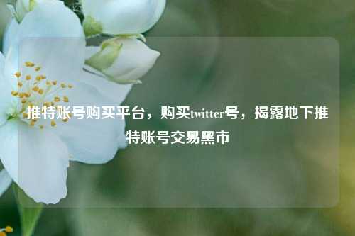 推特账号购买平台，购买twitter号，揭露地下推特账号交易黑市