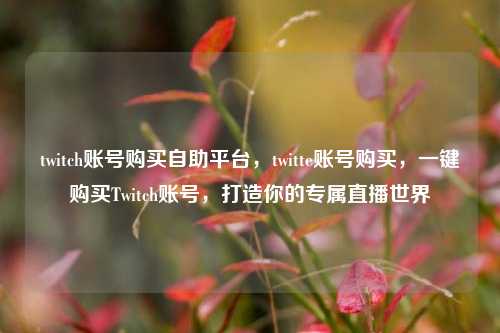 twitch账号购买自助平台，twitte账号购买，一键购买Twitch账号，打造你的专属直播世界