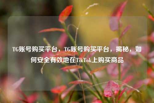 TG账号购买平台	，TG账号购买平台，揭秘，如何安全有效地在TikTok上购买商品  第1张