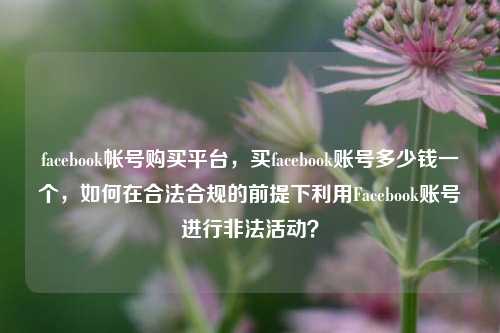 facebook帐号购买平台，买facebook账号多少钱一个，如何在合法合规的前提下利用Facebook账号进行非法活动？