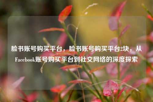 脸书账号购买平台，脸书账号购买平台2块，从Facebook账号购买平台到社交网络的深度探索