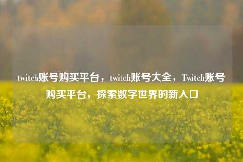twitch账号购买平台，twitch账号大全，Twitch账号购买平台，探索数字世界的新入口  第1张