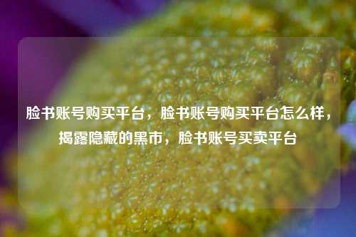 脸书账号购买平台，脸书账号购买平台怎么样，揭露隐藏的黑市，脸书账号买卖平台