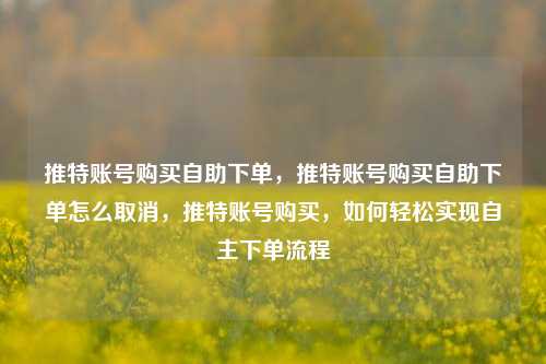 推特账号购买自助下单，推特账号购买自助下单怎么取消，推特账号购买，如何轻松实现自主下单流程