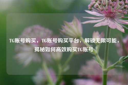 TG账号购买，TG账号购买平台，解锁无限可能，揭秘如何高效购买TG账号