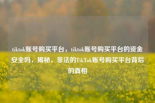 tiktok账号购买平台，tiktok账号购买平台的资金安全吗，揭秘，非法的TikTok账号购买平台背后的真相