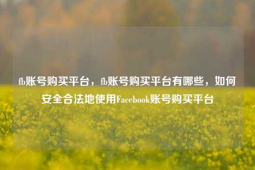 fb账号购买平台，fb账号购买平台有哪些，如何安全合法地使用Facebook账号购买平台